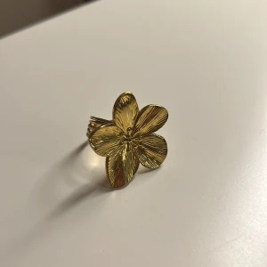 Justerbar ring rostfri - Rostfri justerbar ring  70kr😊hör av vid intresse och för köp!!!