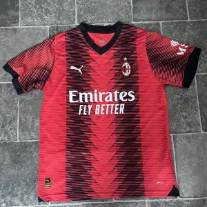 Röd och svart AC Milan fotbollströja från Puma - Säljer en snygg röd och svart AC Milan fotbollströja från Pumai storlek L. Använd ett fåtal gånger. Perfekt för alla fotbollsfans. Pris går att diskuteras 