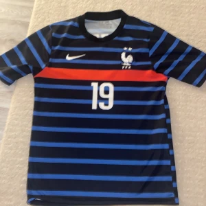 Blå och svart randig fotbollströja - Säljer en snygg blå och svart randig fotbollströja från Nike med nummer 19 och namn på ryggen. Tröjan har korta ärmar och ett rött band över bröstet. Perfekt för fotbollsfans! 🏆