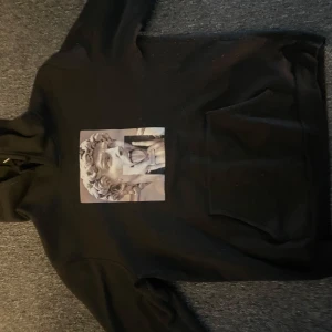 Svart hoodie med konstmotiv - Säljer en svart hoodie med ett unikt konstmotiv på framsidan. Tröjan har en klassisk känguruficka och långa ärmar. Perfekt för dig som vill ha en stilren men ändå iögonfallande look.