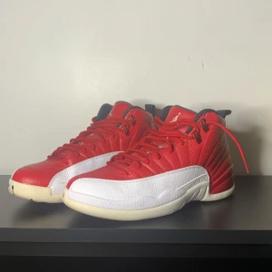 Jordan skor - Riktigt bra skick, nästan som nya. Priset är inte hugget i sten och om du har några frågor är det bara att höra av dig!!