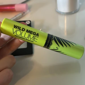 Maskara - En maskara från Max factor. lite torr men funkar!! Köpt för 79