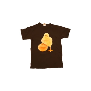 Svart t-shirt med kycklingtryck - Cool svart t-shirt från Alltimers med ett gulligt kycklingtryck på framsidan. Perfekt för en avslappnad stil.                                              Storlek:S Längd:60cm Midjeöppning:44cm Ermöppning:15cm  