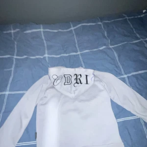 Vit hoodie från Hoodrich - Säljer en grå hoodie från Hoodrich med svart text på framsidan. Den har en stor ficka framtill och textdetaljer på huvan. Perfekt för en avslappnad stil.