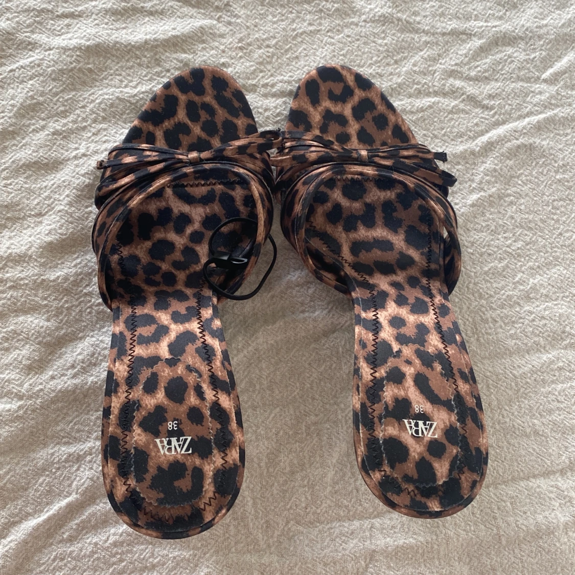 Leopard klackar  - 92