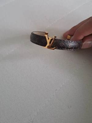 Band - Lv band 