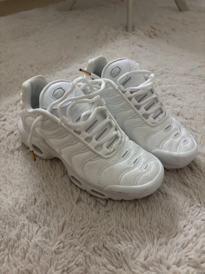 Nike tn skor - Använda en gång
