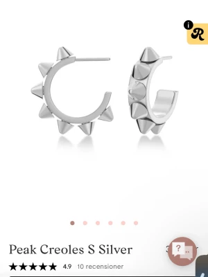 Silvriga edblad örhängen - Snygga örhängen i silver från edbald orginalpris är 400kr och jag säljer för 300kr och dom är i jätte bra skick 