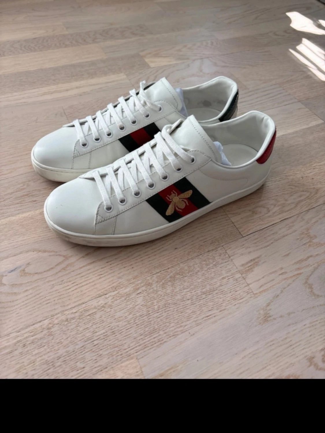 Gucci ace sneakers