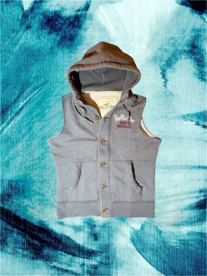 Grå väst med huva från Hollister - Snygg grå väst från Hollister med huva och knappar framtill. Västen har två fickor och tryckt logga på bröstet. Perfekt för lager på lager och en avslappnad streetstil.