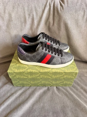 Gucci ace Skor - Mörkgråa Gucci ace || Storlek 41 || box och dustbag medföljer 