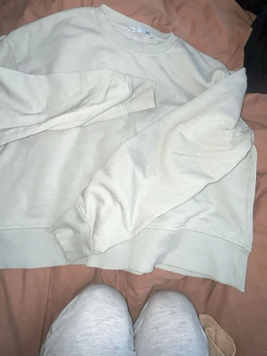 Ljusgrå sweatshirt från 157 - En basic ljusgrå sweatshirt från 157 med rund halsringning och ribbade muddar vid ärmslut och nederkant. Tröjan är i mjukt material och har en avslappnad passform, perfekt för en chill och stilren look.