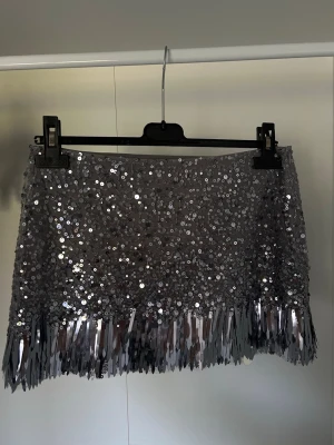 Glittrig silverkort kjol med paljetter - Supersnygg kort kjol i silver med massor av glittrande paljetter och fransar längst ner. Använt endast en gång!