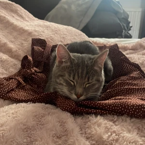 Sommar kjol. Storlek M - Otroligt söt kjol med shorts inbyggd. Dessutom väldigt bekväm och praktisk. Kissen gillar den🥰 Köparen står för frakt☺️