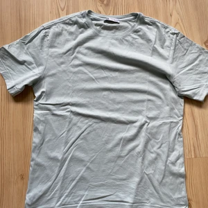 T-shirt i strl M - Mycket bra skick. Säljer på grund av att den är för liten. Köpt från Zara herravdelningen.