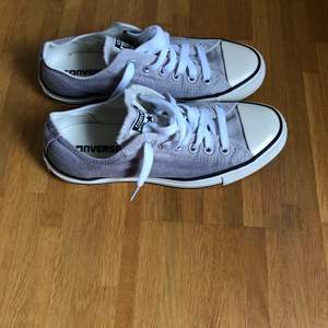 Grå/vita converse skor 