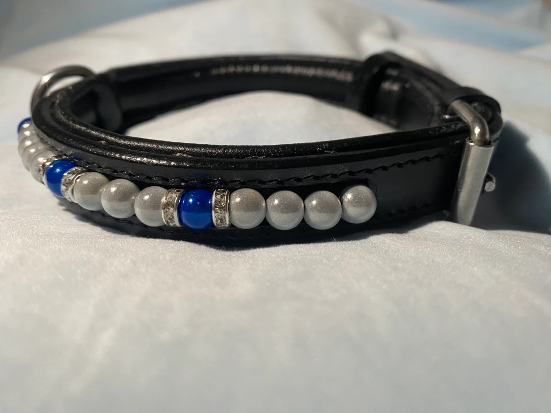 Hundhalsband/hästpanband 