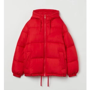 hm puffar jacka - Fint skick, sparsamt använd 300kr Nypris 499kr