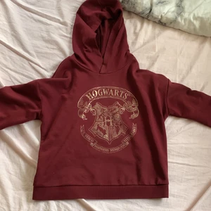 Hogwarts hoodie - Hogwarts hoodie till salu, inte använd mycket och mycket bekväm