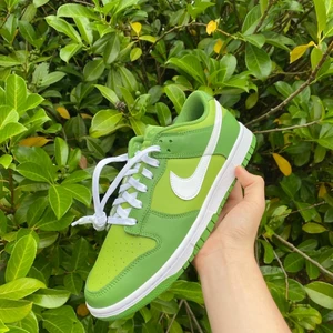 Nike dunk low chlorophyll  - Nike dunk low chlorophyll 🌿 - 10/10 NYA  Storlek 44,5  Pris 1699kr exklusive frakt  🚚  Kontakta vid köp eller ytterligare frågor. 