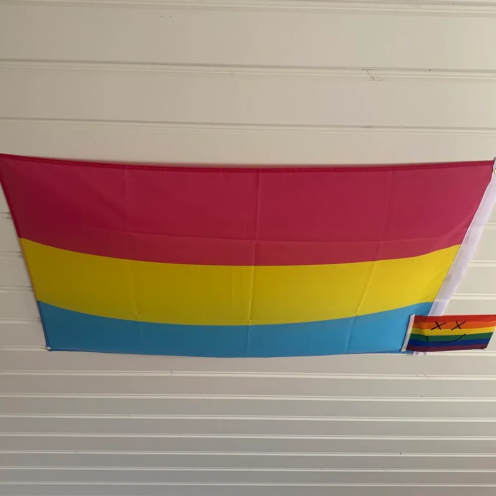 150 x 90 cm pansexuell flagga, köpte för 200 så säljer för 149 inkl frakt 💗🏳️‍🌈✨. Övrigt.