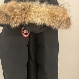 Canada gosse jacka  - Vill sälja min vinter jacka som är bara använd en vinter storlek l skön och fin jacka. Själv klart äkta finns i Malmö kan gå ner lite vid snabb affär 