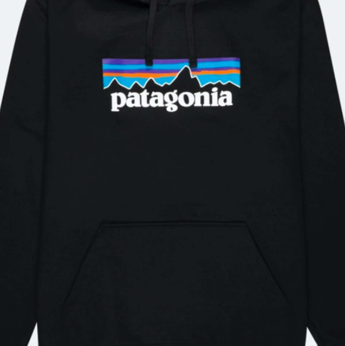 Patagonia hoodie