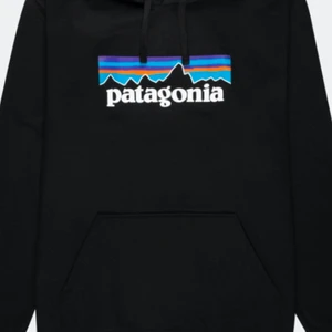 Patagonia hoodie - Säljer denna till ingen andvänd, ny pris 999kr, kom privat för mer frågor o bilder!! Bra kvalitet ❤️❤️