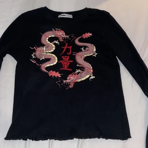 Tröja med drake  - Säljer svart långärmad tajt tröja med drakar på, använd fåtal gånger så den ör i bra skick! 