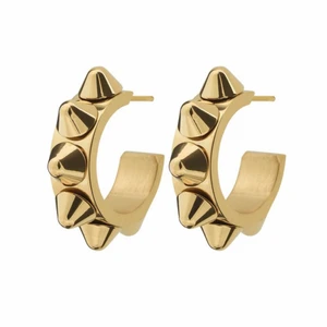 Guld örhängen✨ - Säljer min örhängen från Edblad✨ säljer då dom ej kommer till användning💕 skriv vid frågor/ intresse