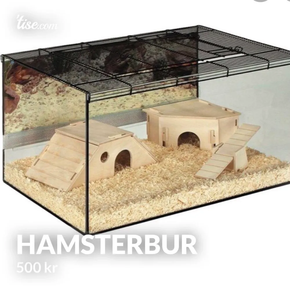 🌸 Hamsterburar/terrarium helt i glas som används till två hamstrar. Ena buren har en spricka utanpå glaset och säljs för 400kr (inget som påverkar insidan och är på baksidan av buren) nypris 1000kr styck på zooplus.se 🌸  Mått: B 75cm L 45cm H 37cm . Övrigt.