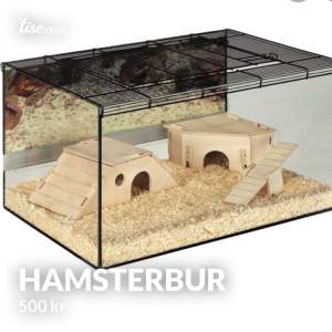 🌸 Hamsterburar/terrarium helt i glas som används till två hamstrar. Ena buren har en spricka utanpå glaset och säljs för 400kr (inget som påverkar insidan och är på baksidan av buren) nypris 1000kr styck på zooplus.se 🌸  Mått: B 75cm L 45cm H 37cm 