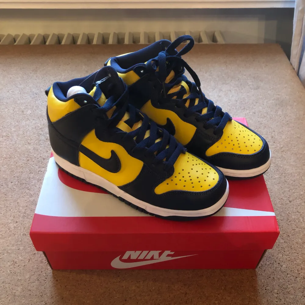 Nike Dunk Michigan. Skor.