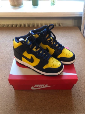Nike Dunk Michigan - Nike Dunk Michigan