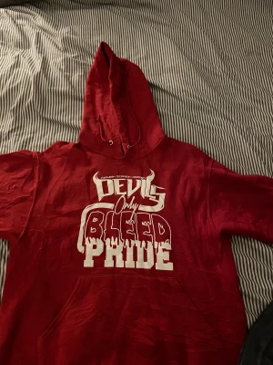 Hoodies  - 100kr styck