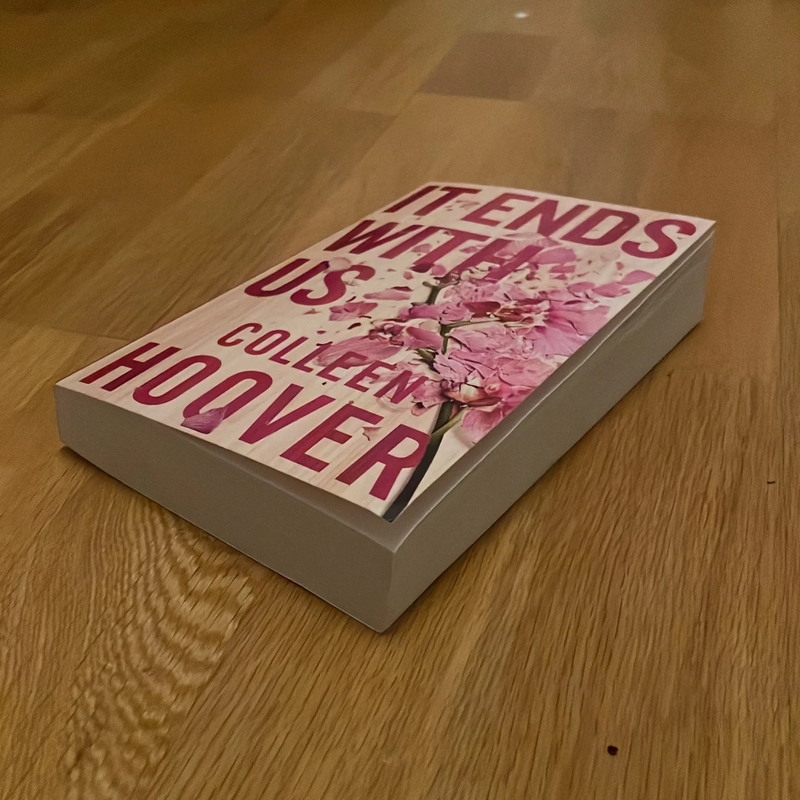 It ends with us  - 91