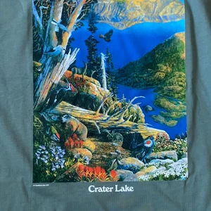 Nike Acg, Crater lake T-shirt  - En t-shirt med extremet fint tryck (enligt mig). Köpt för 1 år sen men har aldrig använts pga storleken :(. T-shirten är L med lös passform. 