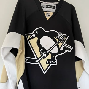 Pittsburgh matchtröja  - Säljer denna tröja då jag rensar ur mina kläder, är väldigt bra skick och är köpt i usa, nypris: 1200kr