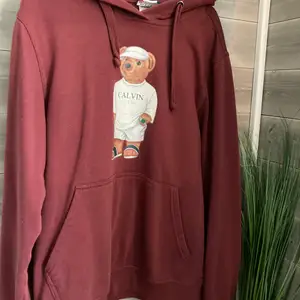 Calvin the bear hoodie online