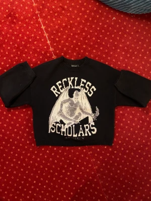 Reckless Scholars Knit - sparsamt använd köpt i 2020