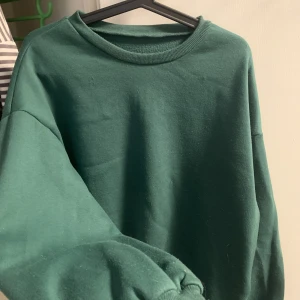 grön sweatshirt  - lite nopprig mens går lätt att fixa med en rakhyvel eller liknade:) mer forest green i verkligheten 