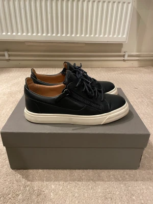 Zanotti skor  - Säljer mina Zanotti skor i storlek 42. Dom är i väldigt bra skick 8/10.  Har box och dustbag till skorna. Nypris runt 5000kr.  Hör gärna av dig om du har frågor! 