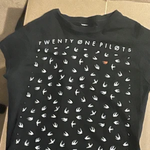 Twenty One Pilots Tröja Blurryface Merch - S/XS, Dammodell