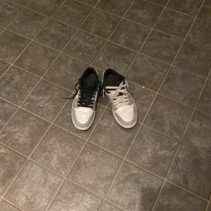 Jordan 1 smoke grey low - Sönder creasade  Olika färger på snören men kan skicka med original snöret