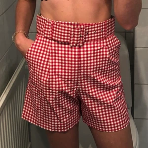 Zara shorts med skärp - Ett par rutiga shorts från Zara, aldrig använda. Storlek XS men passar även som en liten S.