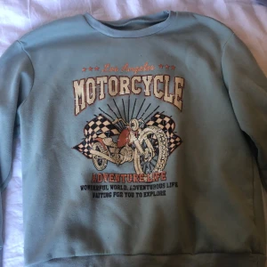 Sweatshirt  - Köpte denna på plick eller tise. Tröjan är från shein och har använt plagget ett fåtal gånger. För mer info kan du konta mig privat❤️