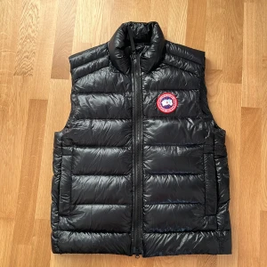 Canada goose - Ny 