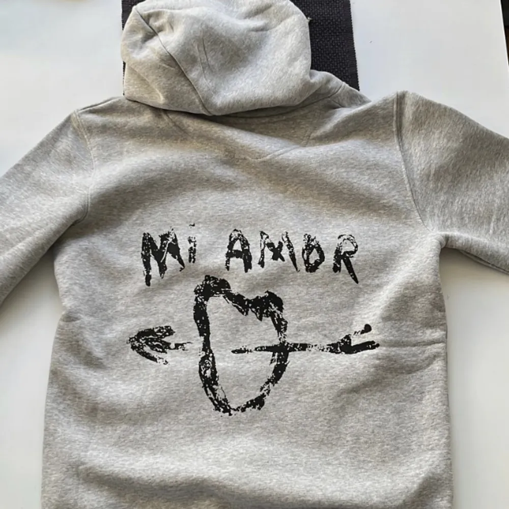 Mira Paris/ Mi Amor hoodie som är använd ca 2 gånger Stl S i Unisex, ser helt ny ut å är inprincip ny. Ny pris 2000kr❤️ första bilden lånad. Hoodies.