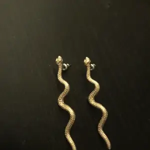 Ett par orm örhängen i färgen guld 