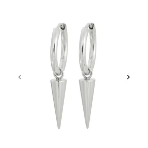 Edblad örhängen  - Jättefina örhängen från Edblad, tyvärr används dom inte. (Endast använda vid ett tillfälle)🫶🏼300kr inkl frakt vid snabb affär!!!